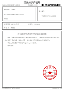 商标案例